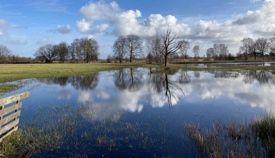 <i class='fa fa-user'></i>&nbsp;Tineke Strijbosch&nbsp;|  Lenteachtige dag&nbsp; <i class='fa fa-eye'>&nbsp;112</i> &nbsp;<i class='fa fa-thumbs-up'>&nbsp;4</i> &nbsp; <i class='fa fa-comment-o'>&nbsp;11</i>