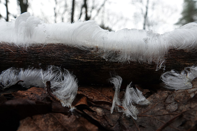 <i class='fa fa-user'></i>&nbsp;nelappelmelk&nbsp;|  IJshaar&nbsp; <i class='fa fa-eye'>&nbsp;105</i> &nbsp; <i class='fa fa-comment-o'>&nbsp;8</i>