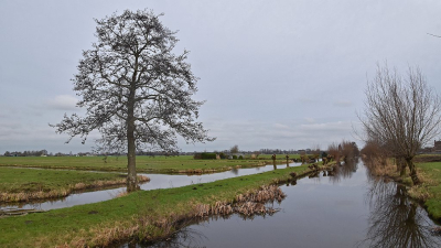 <i class='fa fa-user'></i>&nbsp;kooyammers&nbsp;|  Een vleugje Lente ?&nbsp; <i class='fa fa-eye'>&nbsp;78</i> &nbsp;<i class='fa fa-thumbs-up'>&nbsp;2</i> &nbsp; <i class='fa fa-comment-o'>&nbsp;4</i>