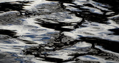 <i class='fa fa-user'></i>&nbsp;B.M.Schouten-Ruis&nbsp;|  Waterspiegeling in de Schollebosvijver&nbsp; <i class='fa fa-eye'>&nbsp;71</i> &nbsp; <i class='fa fa-comment-o'>&nbsp;4</i>