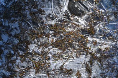 <i class='fa fa-user'></i>&nbsp;liesbeth van vliet&nbsp;|  Kleuren palet&nbsp; <i class='fa fa-eye'>&nbsp;74</i> &nbsp;<i class='fa fa-thumbs-up'>&nbsp;1</i> &nbsp; <i class='fa fa-comment-o'>&nbsp;5</i>