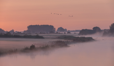 <i class='fa fa-user'></i>&nbsp;Leerdammerkees&nbsp;|  Everdingerwaard&nbsp; <i class='fa fa-eye'>&nbsp;107</i> &nbsp;<i class='fa fa-thumbs-up'>&nbsp;10</i> &nbsp; <i class='fa fa-comment-o'>&nbsp;13</i>