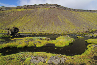 <i class='fa fa-user'></i>&nbsp;nelappelmelk&nbsp;|  Helder groen&nbsp; <i class='fa fa-eye'>&nbsp;123</i> &nbsp; <i class='fa fa-comment-o'>&nbsp;8</i>