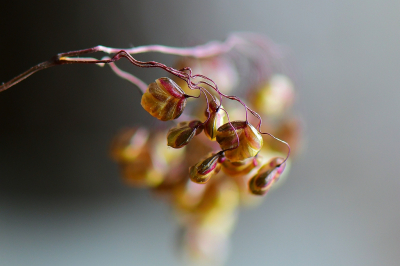 <i class='fa fa-user'></i>&nbsp;Bert Veerman&nbsp;|  Bevertjes&nbsp; <i class='fa fa-eye'>&nbsp;103</i> &nbsp;<i class='fa fa-thumbs-up'>&nbsp;3</i> &nbsp; <i class='fa fa-comment-o'>&nbsp;7</i>