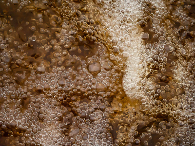 <i class='fa fa-user'></i>&nbsp;Truus Aletta Maan&nbsp;|  Water&nbsp; <i class='fa fa-eye'>&nbsp;94</i> &nbsp;<i class='fa fa-thumbs-up'>&nbsp;3</i> &nbsp; <i class='fa fa-comment-o'>&nbsp;10</i>