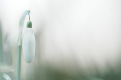 <i class='fa fa-user'></i>&nbsp;hesterb&nbsp;|  Foto-mist&nbsp; <i class='fa fa-eye'>&nbsp;126</i> &nbsp; <i class='fa fa-comment-o'>&nbsp;11</i>