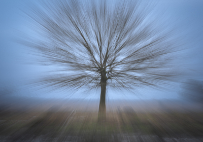 <i class='fa fa-user'></i>&nbsp;ErnovanDoorn&nbsp;|  Boom&nbsp; <i class='fa fa-eye'>&nbsp;133</i> &nbsp;<i class='fa fa-thumbs-up'>&nbsp;4</i> &nbsp; <i class='fa fa-comment-o'>&nbsp;9</i>