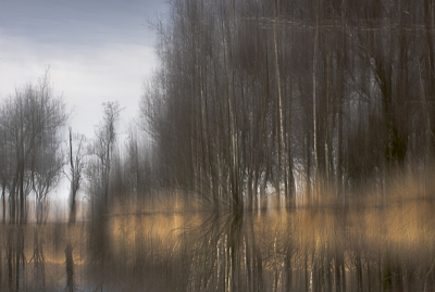 <i class='fa fa-user'></i>&nbsp;ErnovanDoorn&nbsp;|  Spiegeling&nbsp; <i class='fa fa-eye'>&nbsp;82</i> &nbsp;<i class='fa fa-thumbs-up'>&nbsp;1</i> &nbsp; <i class='fa fa-comment-o'>&nbsp;8</i>