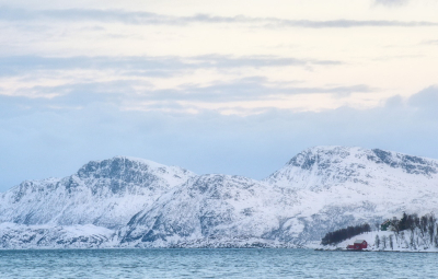 <i class='fa fa-user'></i>&nbsp;boerke&nbsp;|  Noorwegen&nbsp; <i class='fa fa-eye'>&nbsp;89</i> &nbsp;<i class='fa fa-thumbs-up'>&nbsp;1</i> &nbsp; <i class='fa fa-comment-o'>&nbsp;4</i>