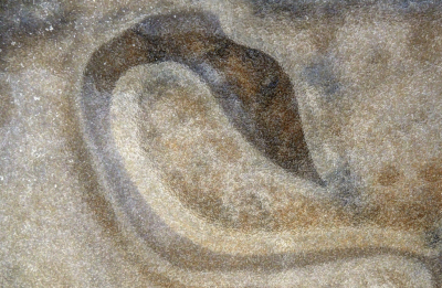 <i class='fa fa-user'></i>&nbsp;liesbeth van vliet&nbsp;|  IJs&nbsp; <i class='fa fa-eye'>&nbsp;108</i> &nbsp;<i class='fa fa-thumbs-up'>&nbsp;4</i> &nbsp; <i class='fa fa-comment-o'>&nbsp;9</i>