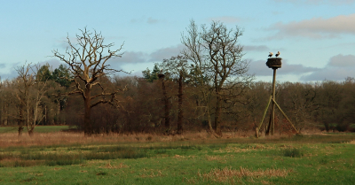 <i class='fa fa-user'></i>&nbsp;Tineke Strijbosch&nbsp;|  Lente in de lucht&nbsp; <i class='fa fa-eye'>&nbsp;90</i> &nbsp;<i class='fa fa-thumbs-up'>&nbsp;1</i> &nbsp; <i class='fa fa-comment-o'>&nbsp;5</i>