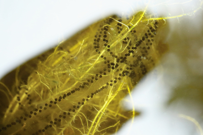 <i class='fa fa-user'></i>&nbsp;Pieter  LJ&nbsp;|  Gewone Pad&nbsp; <i class='fa fa-eye'>&nbsp;110</i> &nbsp;<i class='fa fa-thumbs-up'>&nbsp;1</i> &nbsp; <i class='fa fa-comment-o'>&nbsp;8</i>