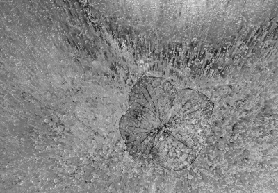 <i class='fa fa-user'></i>&nbsp;Nel R&nbsp;|  Bevroren&nbsp; <i class='fa fa-eye'>&nbsp;183</i> &nbsp;<i class='fa fa-thumbs-up'>&nbsp;12</i> &nbsp; <i class='fa fa-comment-o'>&nbsp;18</i>