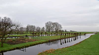 <i class='fa fa-user'></i>&nbsp;kooyammers&nbsp;|  Wat is natuur nog in dit land. Een stukje bos, ter grootte van een krant&nbsp; <i class='fa fa-eye'>&nbsp;94</i> &nbsp;<i class='fa fa-thumbs-up'>&nbsp;5</i> &nbsp; <i class='fa fa-comment-o'>&nbsp;7</i>