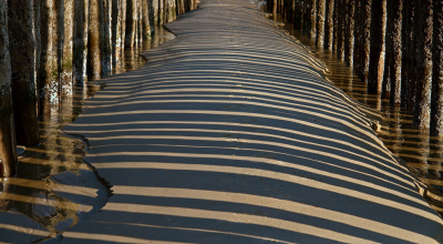 <i class='fa fa-user'></i>&nbsp;Nel R&nbsp;|  Schaduwen&nbsp; <i class='fa fa-eye'>&nbsp;181</i> &nbsp;<i class='fa fa-thumbs-up'>&nbsp;6</i> &nbsp; <i class='fa fa-comment-o'>&nbsp;9</i>