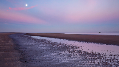 <i class='fa fa-user'></i>&nbsp;Pieter  LJ&nbsp;|  Ochtend aan strand&nbsp; <i class='fa fa-eye'>&nbsp;69</i> &nbsp;<i class='fa fa-thumbs-up'>&nbsp;1</i> &nbsp; <i class='fa fa-comment-o'>&nbsp;5</i>