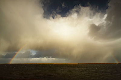 <i class='fa fa-user'></i>&nbsp;Pieter  LJ&nbsp;|  Zware bui&nbsp; <i class='fa fa-eye'>&nbsp;107</i> &nbsp;<i class='fa fa-thumbs-up'>&nbsp;10</i> &nbsp; <i class='fa fa-comment-o'>&nbsp;11</i>