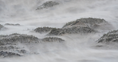 <i class='fa fa-user'></i>&nbsp;Eef Kieft&nbsp;|  Toendra&nbsp; <i class='fa fa-eye'>&nbsp;101</i> &nbsp;<i class='fa fa-thumbs-up'>&nbsp;2</i> &nbsp; <i class='fa fa-comment-o'>&nbsp;7</i>