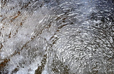 <i class='fa fa-user'></i>&nbsp;liesbeth van vliet&nbsp;|  Schuim&nbsp; <i class='fa fa-eye'>&nbsp;85</i> &nbsp; <i class='fa fa-comment-o'>&nbsp;4</i>