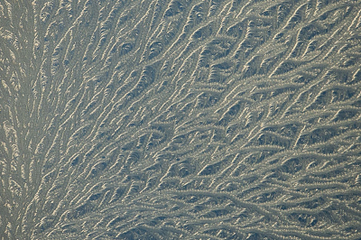 <i class='fa fa-user'></i>&nbsp;Truus Aletta Maan&nbsp;|  IJs&nbsp; <i class='fa fa-eye'>&nbsp;90</i> &nbsp;<i class='fa fa-thumbs-up'>&nbsp;1</i> &nbsp; <i class='fa fa-comment-o'>&nbsp;10</i>