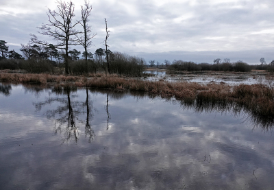 <i class='fa fa-user'></i>&nbsp;nelappelmelk&nbsp;|  Rustgevend&nbsp; <i class='fa fa-eye'>&nbsp;103</i> &nbsp; <i class='fa fa-comment-o'>&nbsp;5</i>