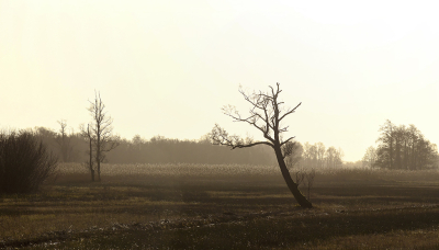 <i class='fa fa-user'></i>&nbsp;Eric Gibcus&nbsp;|  Landschap&nbsp; <i class='fa fa-eye'>&nbsp;70</i> &nbsp; <i class='fa fa-comment-o'>&nbsp;3</i>