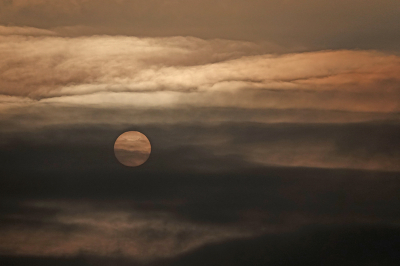 <i class='fa fa-user'></i>&nbsp;nelappelmelk&nbsp;|  Zon en wolken&nbsp; <i class='fa fa-eye'>&nbsp;111</i> &nbsp;<i class='fa fa-thumbs-up'>&nbsp;8</i> &nbsp; <i class='fa fa-comment-o'>&nbsp;14</i>