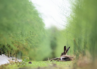 <i class='fa fa-user'></i>&nbsp;robert-jan&nbsp;|  Haas&nbsp; <i class='fa fa-eye'>&nbsp;115</i> &nbsp;<i class='fa fa-thumbs-up'>&nbsp;1</i> &nbsp; <i class='fa fa-comment-o'>&nbsp;3</i>