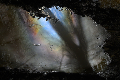 <i class='fa fa-user'></i>&nbsp;liesbeth van vliet&nbsp;|  Bospad plasje&nbsp; <i class='fa fa-eye'>&nbsp;126</i> &nbsp;<i class='fa fa-thumbs-up'>&nbsp;6</i> &nbsp; <i class='fa fa-comment-o'>&nbsp;10</i>