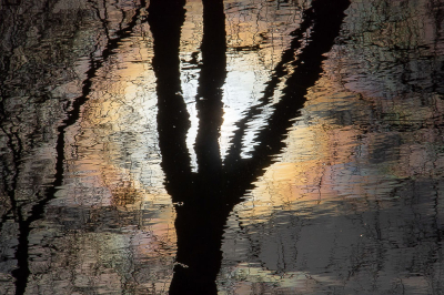 <i class='fa fa-user'></i>&nbsp;Truus Aletta Maan&nbsp;|  Weerspiegeling&nbsp; <i class='fa fa-eye'>&nbsp;90</i> &nbsp;<i class='fa fa-thumbs-up'>&nbsp;4</i> &nbsp; <i class='fa fa-comment-o'>&nbsp;8</i>