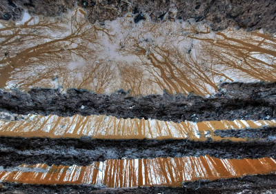 <i class='fa fa-user'></i>&nbsp;liesbeth van vliet&nbsp;|  Modderplas in bos&nbsp; <i class='fa fa-eye'>&nbsp;93</i> &nbsp;<i class='fa fa-thumbs-up'>&nbsp;7</i> &nbsp; <i class='fa fa-comment-o'>&nbsp;7</i>