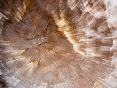 <i class='fa fa-user'></i>&nbsp;Truus Aletta Maan&nbsp;|  Water&nbsp; <i class='fa fa-eye'>&nbsp;81</i> &nbsp; <i class='fa fa-comment-o'>&nbsp;2</i>