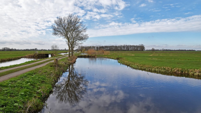 <i class='fa fa-user'></i>&nbsp;kooyammers&nbsp;|  Kadijk Oost&nbsp; <i class='fa fa-eye'>&nbsp;64</i> &nbsp; <i class='fa fa-comment-o'>&nbsp;4</i>