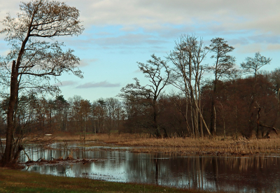 <i class='fa fa-user'></i>&nbsp;Tineke Strijbosch&nbsp;|  Windstllle en rustige dag in februari&nbsp; <i class='fa fa-eye'>&nbsp;60</i> &nbsp; <i class='fa fa-comment-o'>&nbsp;2</i>