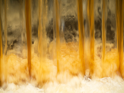 <i class='fa fa-user'></i>&nbsp;Truus Aletta Maan&nbsp;|  Water&nbsp; <i class='fa fa-eye'>&nbsp;86</i> &nbsp;<i class='fa fa-thumbs-up'>&nbsp;4</i> &nbsp; <i class='fa fa-comment-o'>&nbsp;7</i>