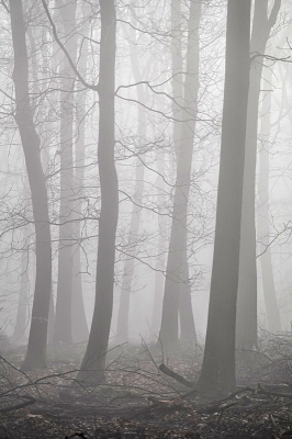 <i class='fa fa-user'></i>&nbsp;nelappelmelk&nbsp;|  Mist&nbsp; <i class='fa fa-eye'>&nbsp;87</i> &nbsp;<i class='fa fa-thumbs-up'>&nbsp;5</i> &nbsp; <i class='fa fa-comment-o'>&nbsp;7</i>