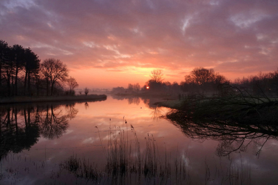 <i class='fa fa-user'></i>&nbsp;Nel R&nbsp;|  Dageraad&nbsp; <i class='fa fa-eye'>&nbsp;112</i> &nbsp;<i class='fa fa-thumbs-up'>&nbsp;11</i> &nbsp; <i class='fa fa-comment-o'>&nbsp;10</i>