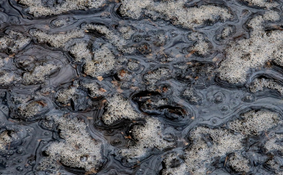 <i class='fa fa-user'></i>&nbsp;Tineke Strijbosch&nbsp;|  Slootwatervormen&nbsp; <i class='fa fa-eye'>&nbsp;51</i> &nbsp;<i class='fa fa-thumbs-up'>&nbsp;2</i> &nbsp; <i class='fa fa-comment-o'>&nbsp;6</i>