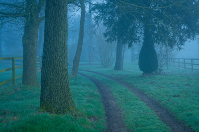 De megamistige woensdagmorgen afgelopen week, heb ik een landschapsfoto gemaakt waar ik min of meer tevreden over was, wat betref compositie. Wat kan ik verbeteren?