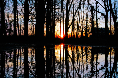 <i class='fa fa-user'></i>&nbsp;hesterb&nbsp;|  Zonsopkomst&nbsp; <i class='fa fa-eye'>&nbsp;78</i> &nbsp; <i class='fa fa-comment-o'>&nbsp;2</i>