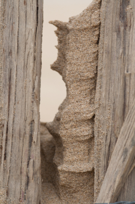 <i class='fa fa-user'></i>&nbsp;susan meijnders&nbsp;|  Hout Zand Wind&nbsp; <i class='fa fa-eye'>&nbsp;77</i> &nbsp; <i class='fa fa-comment-o'>&nbsp;4</i>