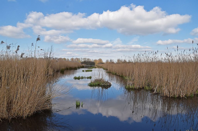 <i class='fa fa-user'></i> kooyammers | Hollandse wolken zijn de mooiste wolken   <i class='fa fa-eye'> 89</i>  <i class='fa fa-thumbs-up'> 5</i>   <i class='fa fa-comment-o'> 6</i>