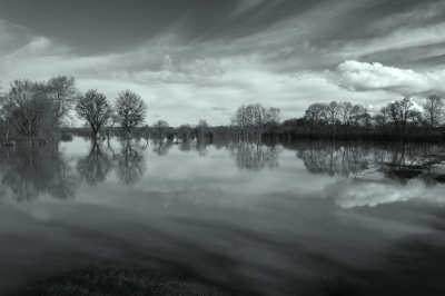 <i class='fa fa-user'></i>&nbsp;liesbeth van vliet&nbsp;|  Ondergelopen weiland&nbsp; <i class='fa fa-eye'>&nbsp;102</i> &nbsp;<i class='fa fa-thumbs-up'>&nbsp;4</i> &nbsp; <i class='fa fa-comment-o'>&nbsp;11</i>