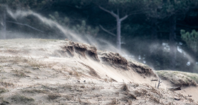 <i class='fa fa-user'></i>&nbsp;Eef Kieft&nbsp;|  Kuifduin&nbsp; <i class='fa fa-eye'>&nbsp;107</i> &nbsp;<i class='fa fa-thumbs-up'>&nbsp;4</i> &nbsp; <i class='fa fa-comment-o'>&nbsp;8</i>