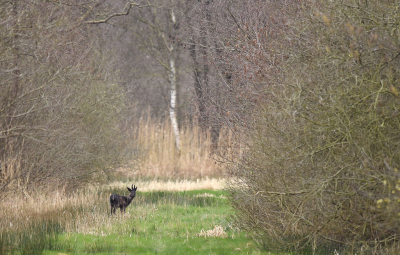 <i class='fa fa-user'></i>&nbsp;Eric Gibcus&nbsp;|  Ree&nbsp; <i class='fa fa-eye'>&nbsp;118</i> &nbsp; <i class='fa fa-comment-o'>&nbsp;7</i>