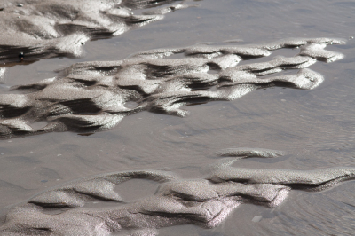 <i class='fa fa-user'></i>&nbsp;susan meijnders&nbsp;|  Getijde patronen&nbsp; <i class='fa fa-eye'>&nbsp;65</i> &nbsp; <i class='fa fa-comment-o'>&nbsp;5</i>