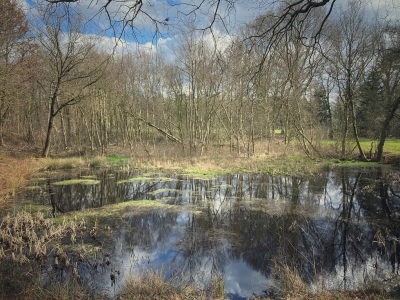 <i class='fa fa-user'></i>&nbsp;Tineke Strijbosch&nbsp;|  Bosvennetje&nbsp; <i class='fa fa-eye'>&nbsp;94</i> &nbsp; <i class='fa fa-comment-o'>&nbsp;5</i>