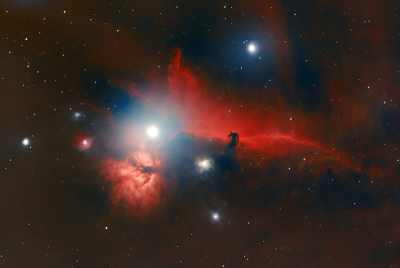 <i class='fa fa-user'></i>&nbsp;Bertus&nbsp;|  Paardenkopnevel&nbsp; <i class='fa fa-eye'>&nbsp;132</i> &nbsp;<i class='fa fa-thumbs-up'>&nbsp;16</i> &nbsp; <i class='fa fa-comment-o'>&nbsp;9</i>