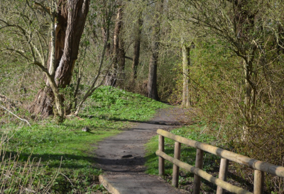 <i class='fa fa-user'></i>&nbsp;B.M.Schouten-Ruis&nbsp;|  De Esch&nbsp; <i class='fa fa-eye'>&nbsp;71</i> &nbsp; <i class='fa fa-comment-o'>&nbsp;2</i>