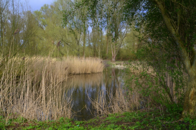 <i class='fa fa-user'></i>&nbsp;B.M.Schouten-Ruis&nbsp;|  Landgoed De Esch&nbsp; <i class='fa fa-eye'>&nbsp;65</i> &nbsp; <i class='fa fa-comment-o'>&nbsp;1</i>